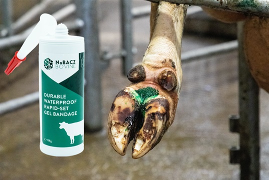 'Revolutionary' liquid barrier dressing for cattle