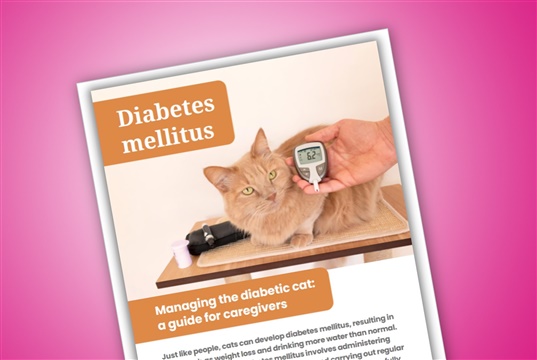 New diabetes guidelines for vets