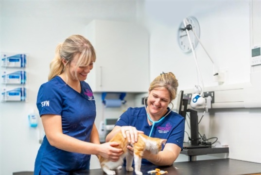 IVC Evidensia achieves Top Employer certification