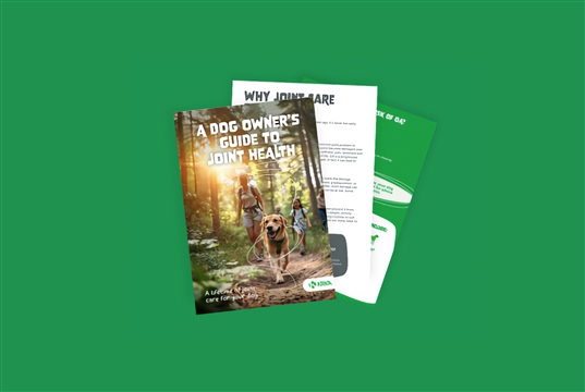 KRKA publishes dog joint health guide to support owner conversations on OA