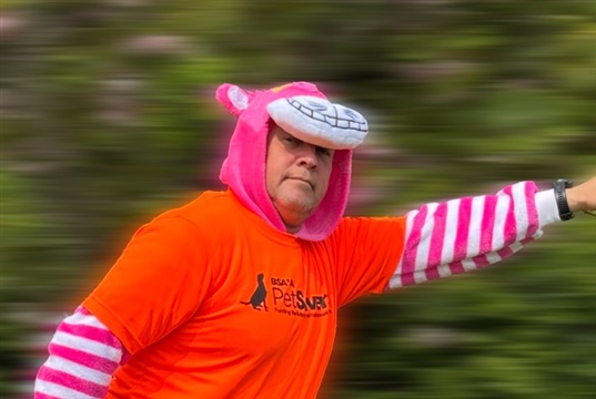 Julian Hoad to go wing walking for BSAVA PetSavers