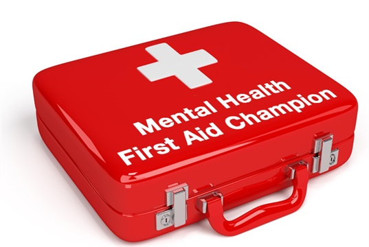 RCVS invites vets to become Mental Health First Aid Champions