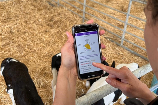 MSD launches calf health app for vets