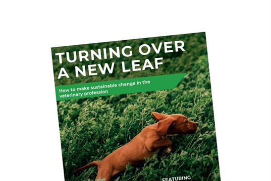 New report explores how vets can make a difference to the environment