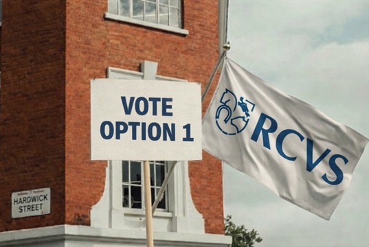 RCVS urges vets to back Option 1