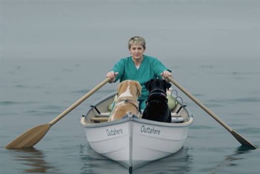 RCVS survey reveals why vets leave the Register