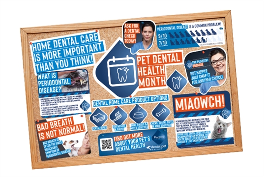 Pet Dental Health Month 2026 coming up in February