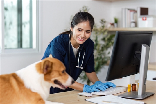 New all-in-one veterinary PMS ‘built for AI agents’