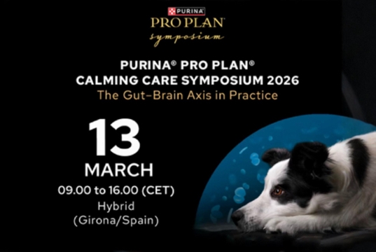 Free CPD day on stress-related behaviours in dogs