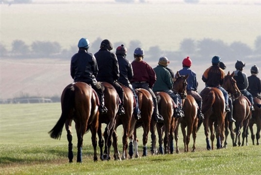 Royal Veterinary College launches study to identify risk factors for racehorse training injuries