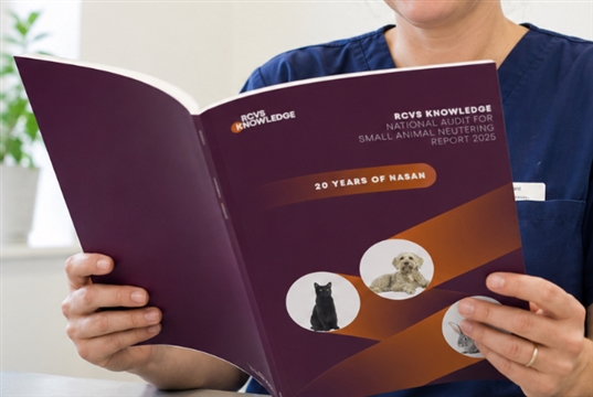 New neutering benchmark data gives vet practices 20-year comparison rates