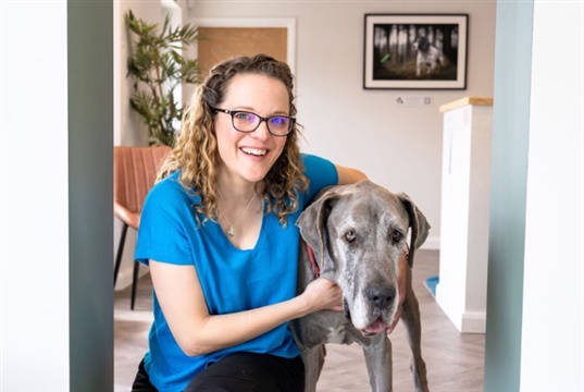 New service audits how well vets communicate