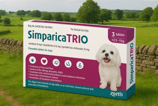 Simparica Trio now licensed for lungworm