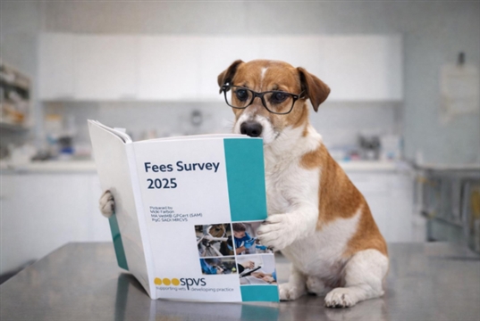 SPVS fees survey flags a sharp jump in cost of veterinary surgery and diagnostics