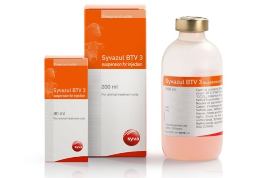 New Bluetongue vaccine needs half the dose in cattle