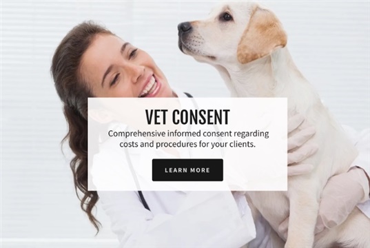 New service for consenting, vets