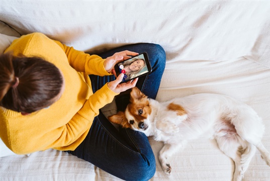 Video Vets Now reports 54% year on year growth