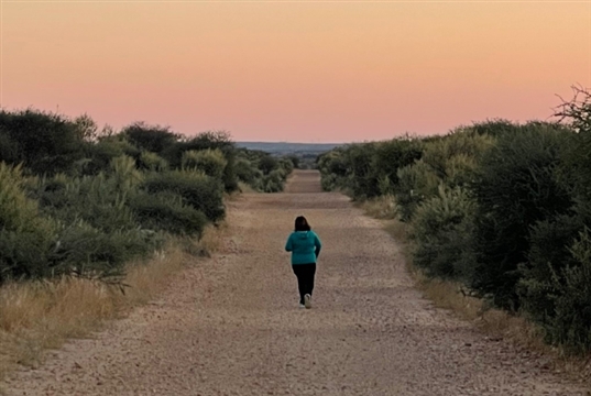 Vet completes 1000-day running streak