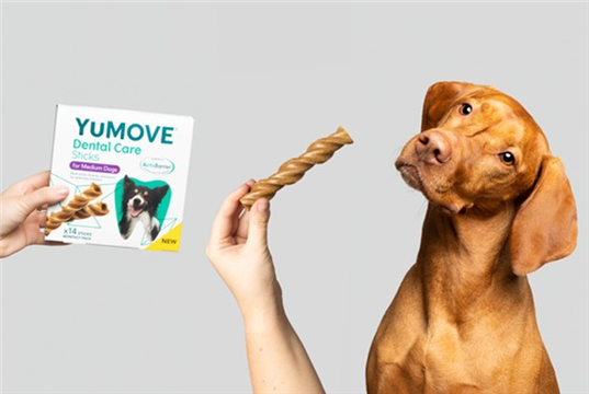 Yumove launches dental care sticks for dogs